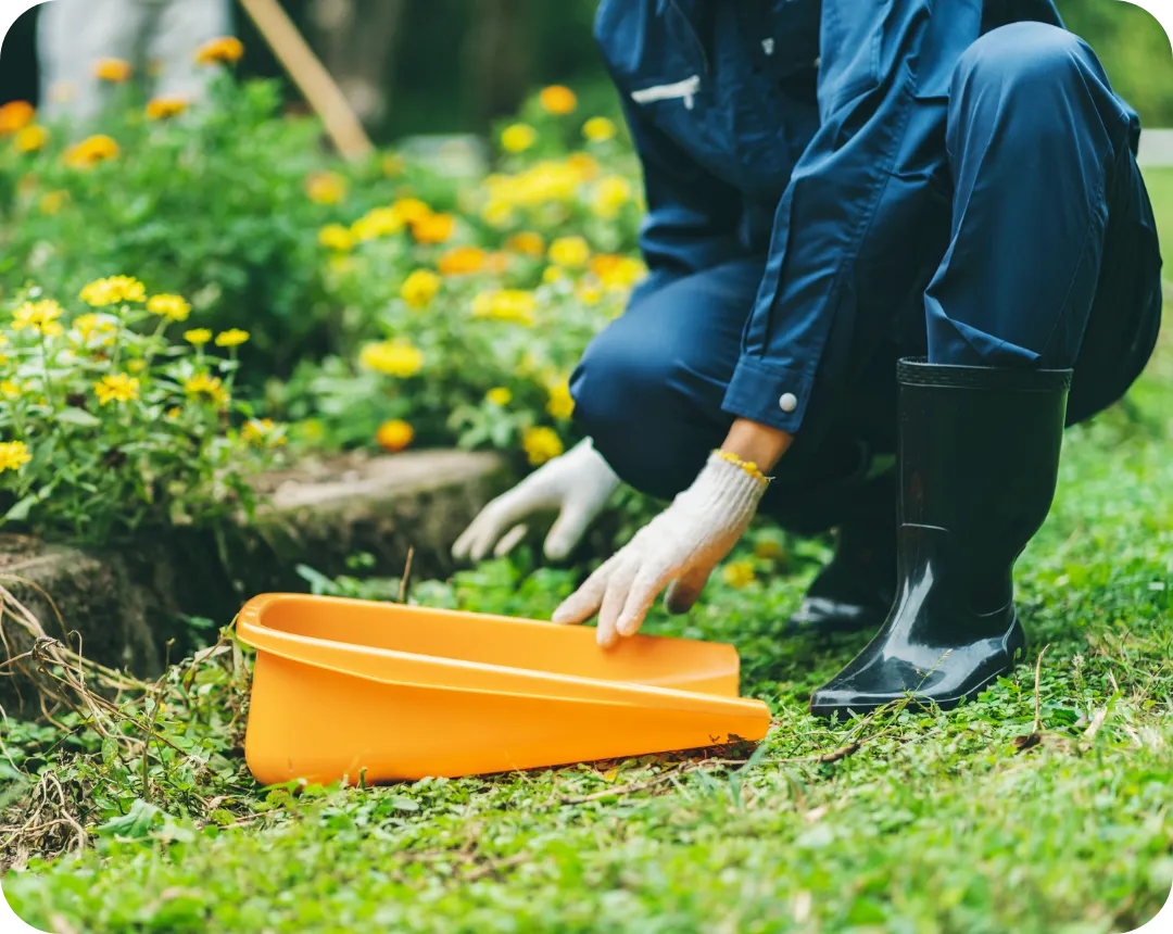 植栽管理のイメージ
