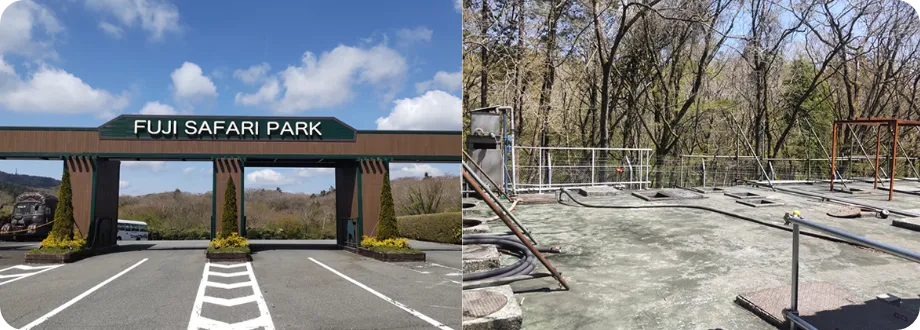 富士サファリパークの実績イメージ