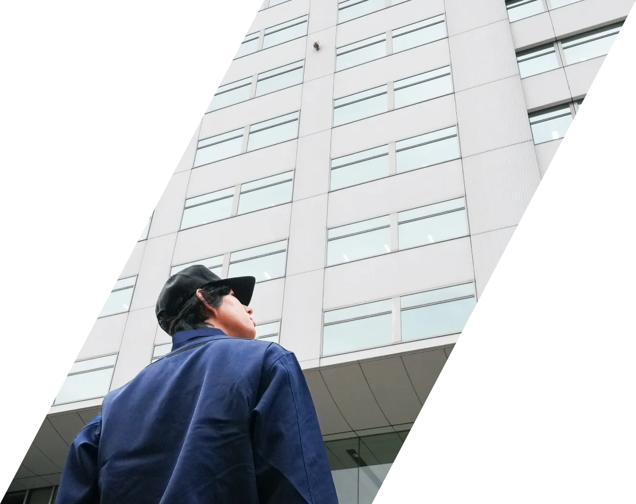 管理実績のイメージ