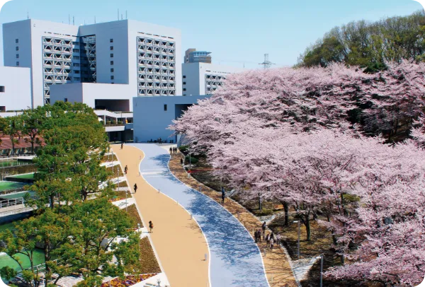 学校・教育施設のイメージ