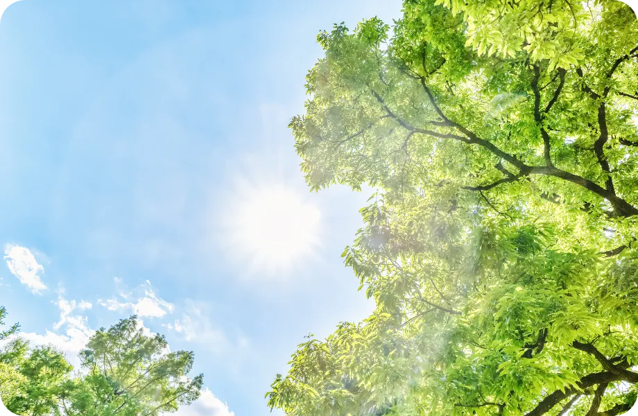 環境への取り組みのイメージ